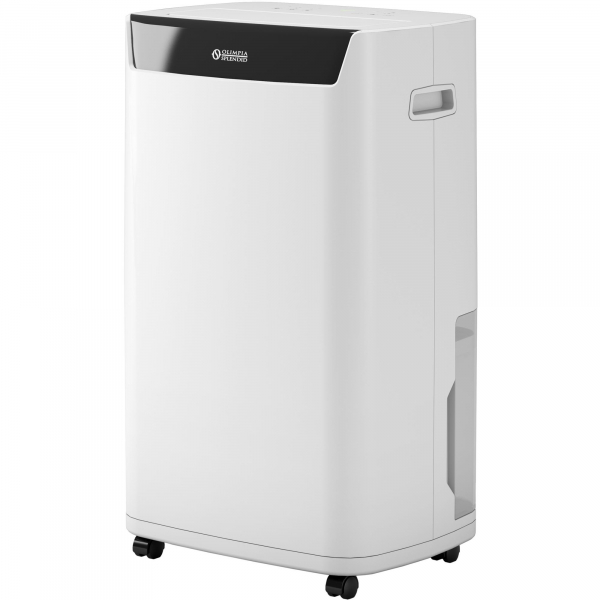 �������� ������ Olimpia Splendid Aquaria S1 24 P (OS-2065) - �������� 6