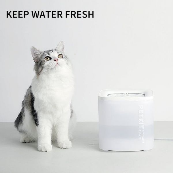 �����-����� Petkit EverSweet Solo Se Pet Water Fountain White (P4103S) - �������� 5
