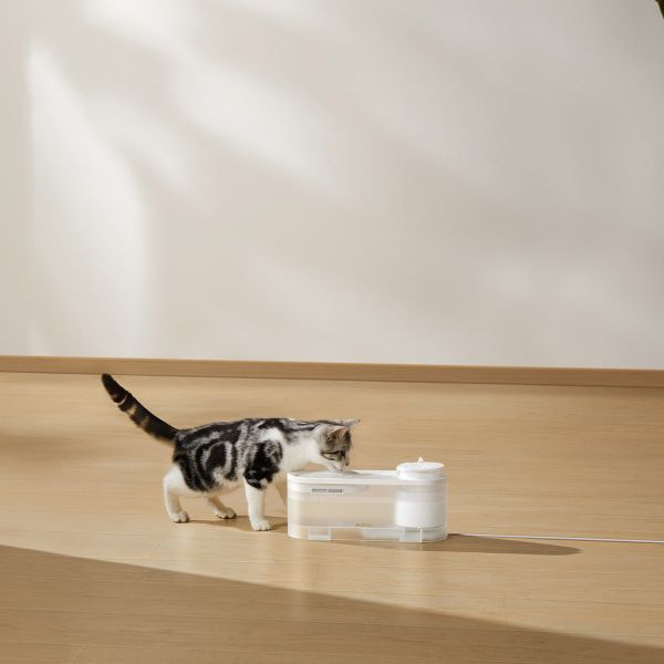 �����-����� Mova Pet Grooming WF10 Pro (PWB20A) - �������� 3