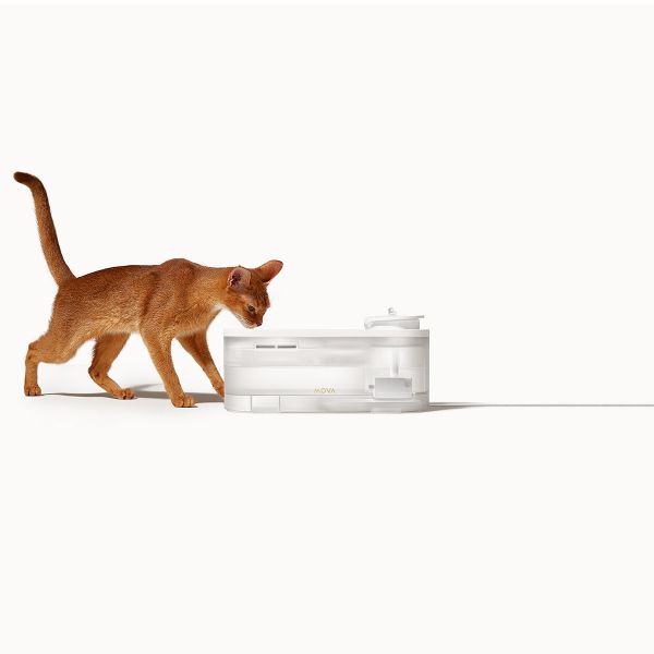 �����-����� Mova Pet Grooming WF10 Pro (PWB20A) - �������� 4