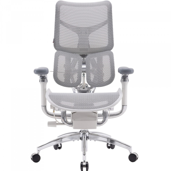 ������ ������� Sihoo Doro S100 Mesh Black (S100-M301) - �������� 1