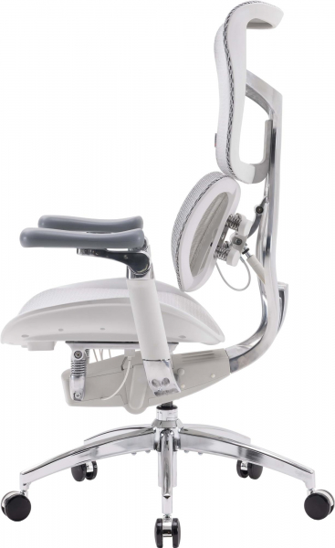 ������ ������� Sihoo Doro S100 Mesh Black (S100-M301) - �������� 4