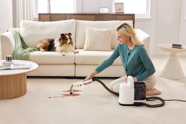   Tineco iCarpet Spot (SC050300DE) -  15