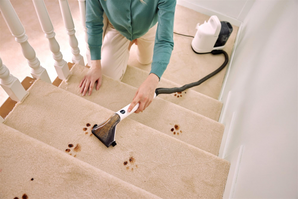   Tineco iCarpet Spot (SC050300DE) -  37