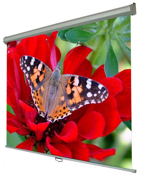 ����� �������� ������ Walfix 100" SNM-3 (152*203, 4:3) - �������� 1