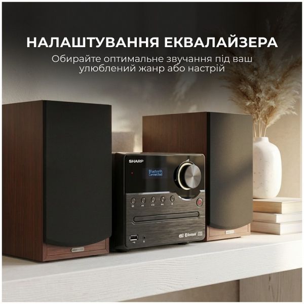 ������������ Sharp Micro Sound System Brown (XL-B517D(BR)) - �������� 6