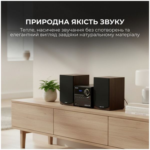 ������������ Sharp Micro Sound System Brown (XL-B517D(BR)) - �������� 9