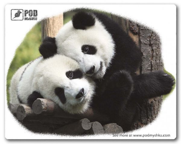 ������ ��� ���� ������� ��� ���� ����� Podmyshku ����� - �������� 1