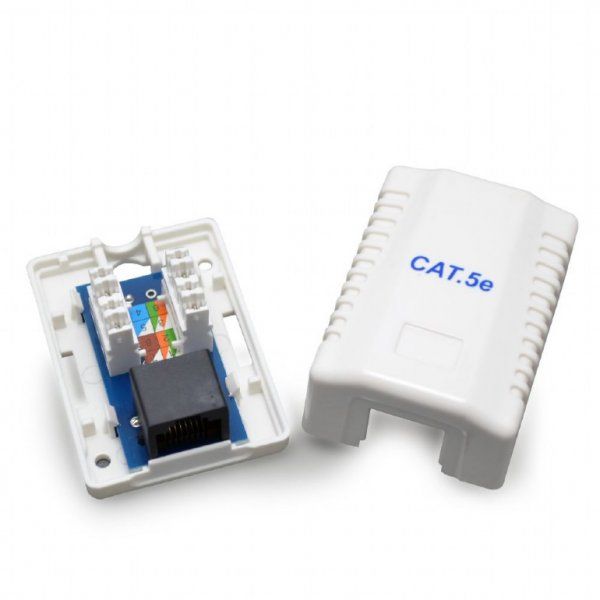 ������� �����������, RJ-45, 5E cat, �������� Cablexpert NCAC-1U5E-01 - �������� 2