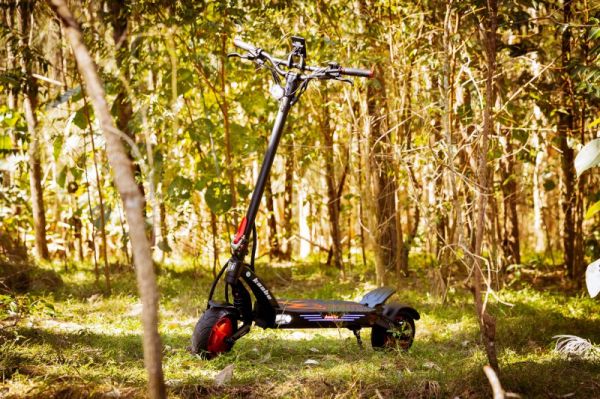 �������������� Mantis King GT Gold Kaabo - �������� 12