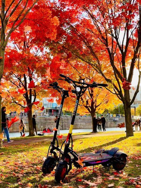 �������������� Mantis King GT Gold Kaabo - �������� 13