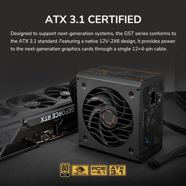 ���� �������� 850 ��, 80 Plus Gold, ATX 3.1, 120 �� HDB Fan, 8 SATA + 6 PCI-E Cougar GST850 - �������� 10