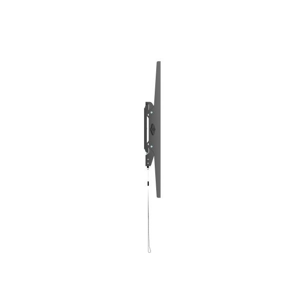 � �������� ��������� 37 - 86� (�� 75 ��) Gembird WM-86T-01 - �������� 3