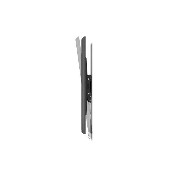 � �������� ��������� 37 - 86� (�� 75 ��) Gembird WM-86T-01 - �������� 4