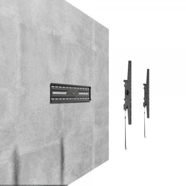 � �������� ��������� 37 - 86� (�� 75 ��) Gembird WM-86T-01 - �������� 8