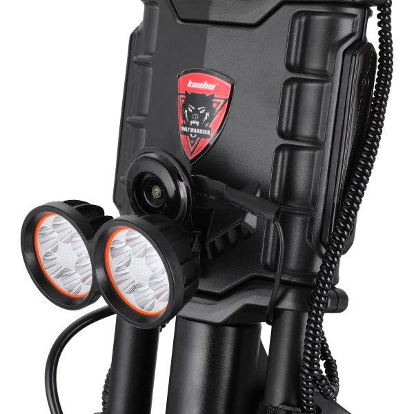 �������������� WOLF KING GTR MAX Kaabo - �������� 15