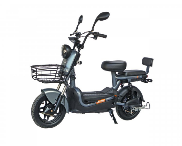 �������������, 600 ��, ������ Maxxter E600 (Silver) - �������� 1