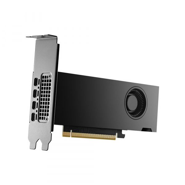 ³�������� PNY NVIDIA RTX2000 ADA 16G 4mDP PB (VCNRTX2000ADA-PB) - �������� 2
