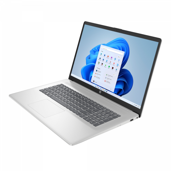 ������� 17.3FI/R7 7730U/16/512//Radeon/DOS/Natural  Silver HP Laptop 17-cp3010ua - �������� 2