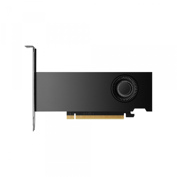 ³�������� PNY NVIDIA RTX2000 ADA 16G 4mDP PB (VCNRTX2000ADA-PB) - �������� 1