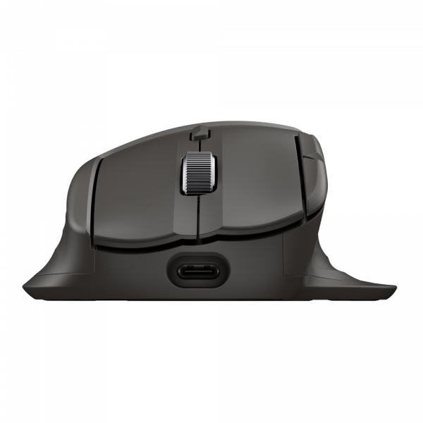���� HP UF SCROLL WRLS MSE 785M EURO HP 785M BT Mouse - �������� 4