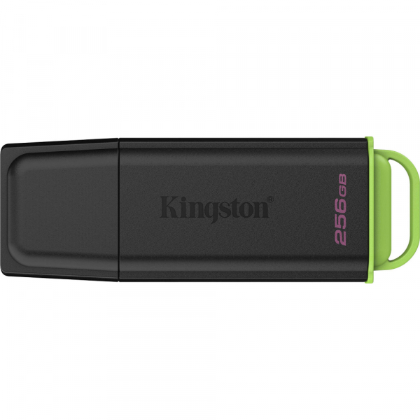 ����-����������� KINGSTON DTXG2/256GB - �������� 1