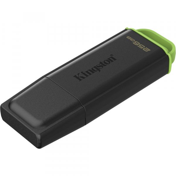 ����-����������� KINGSTON DTXG2/256GB - �������� 3