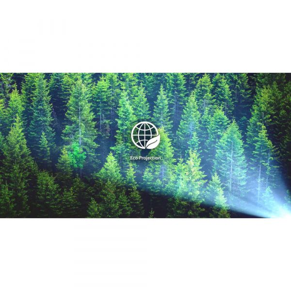 ACER �������� AOpen QF13s (LED, FHD, 6500LL(350AL), 100 0:1, 1.2, 5W(Bt), 30000�, HDMI, USB-A, 1,9Kg)  AOpen QF13s - �������� 10