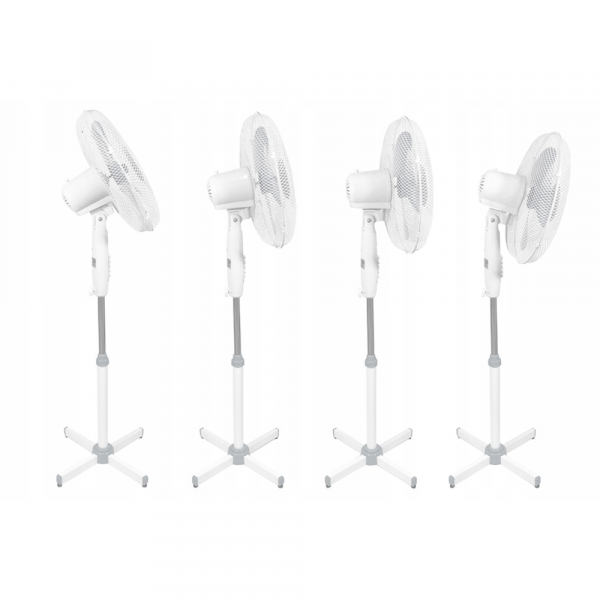 ���������� ESPERANZA EHF001WE Hurricane White-Gray - �������� 2