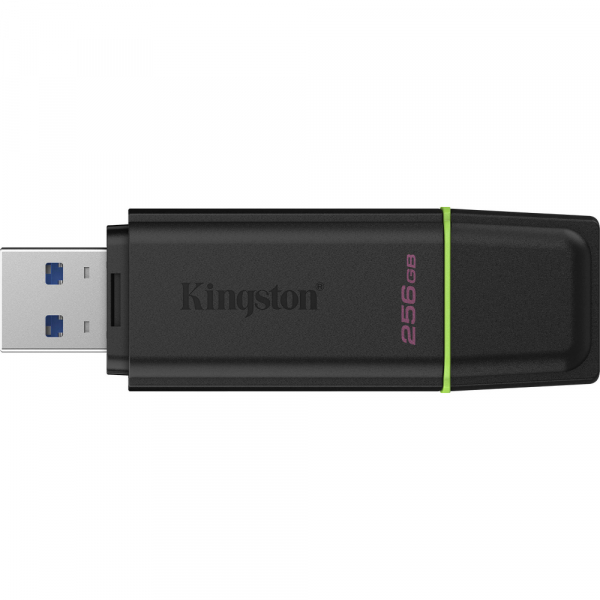 ����-����������� KINGSTON DTXG2/256GB - �������� 2