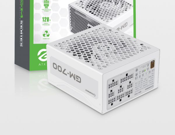 ���� �������� GAMEMAX GM-700 Modular white - �������� 24