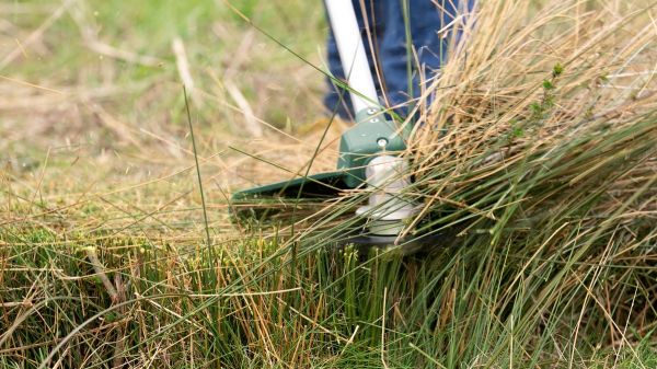 ������� ������� Bosch AFS 23-37, 1000��, ����� 37��, ��� 23��, 220�, 5.7�� 0.600.8A9.000 - �������� 12