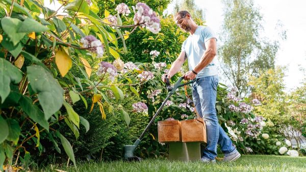 ������� ������� Bosch EasyGrassCut 23, 280��, 23 ��, �����, 1.9 �� 0.600.8C1.H01 - �������� 10