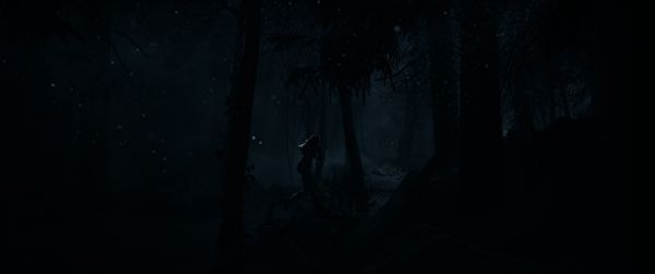   PS5 UNTIL DAWN, BD  1000044321 -  21