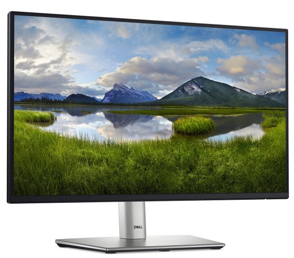 ������� DELL 21.5" P2225H D-Sub, HDMI, DP, USB3.2, IPS, 100Hz, sRGB 99%, Pivot 210-BMHD - �������� 3