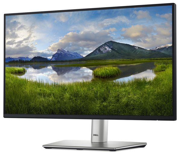 ������� DELL 21.5" P2225H D-Sub, HDMI, DP, USB3.2, IPS, 100Hz, sRGB 99%, Pivot 210-BMHD - �������� 2