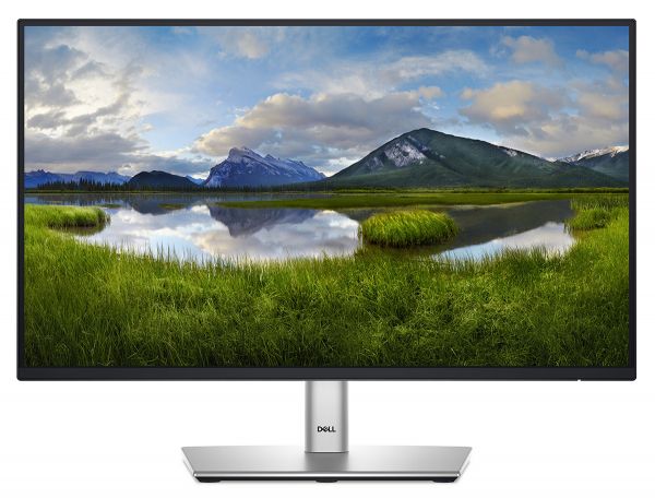 ������� DELL 21.5" P2225H D-Sub, HDMI, DP, USB3.2, IPS, 100Hz, sRGB 99%, Pivot 210-BMHD - �������� 1