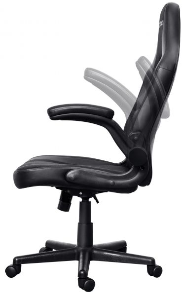 ������ Trust GXT703 RIYE, �� ����, Foldable Armrests, ������ 25128_TRUST - �������� 5