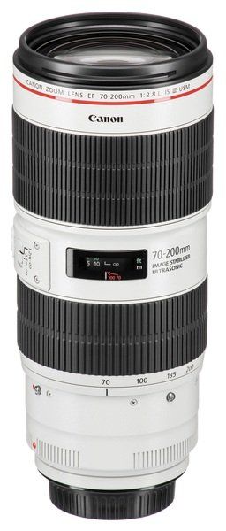 Canon EF 70-200mm f/2.8L IS III USM 3044C005 - �������� 5