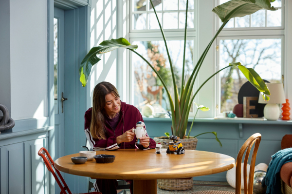 ����������� LEGO Disney Pixar ���˷� � ��� 43279 - �������� 7