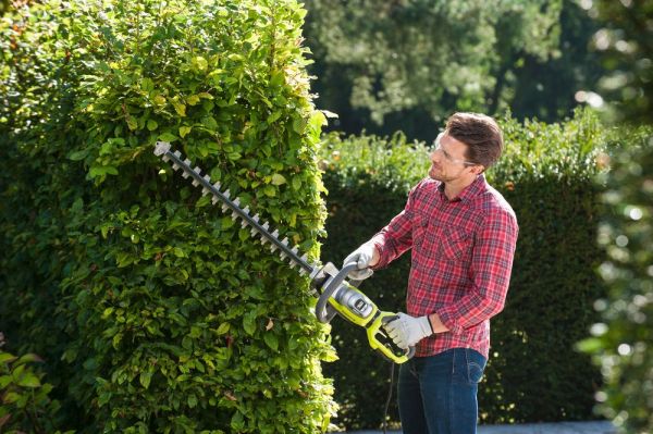 �������� Ryobi RHTRHT8165RL, 800��, ������ 65��, ��� ���� 34��, 4�� 5133003649 - �������� 4