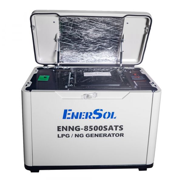 ��������� ������� EnerSol ENNG-8500SATS, 230�, 8.0-8.5���, ��������������, 160.0�� ENNG-8500SATS - �������� 2
