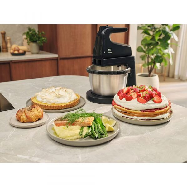 ������ Electrolux ������������ 450��, �������-4, ����-������, 3.5�, ����� ������ ESM4B - �������� 10