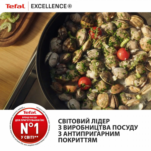 � �������� Tefal Excellence+, � �������, 24��, �������, ����, ������, ������ G3308802 - �������� 12