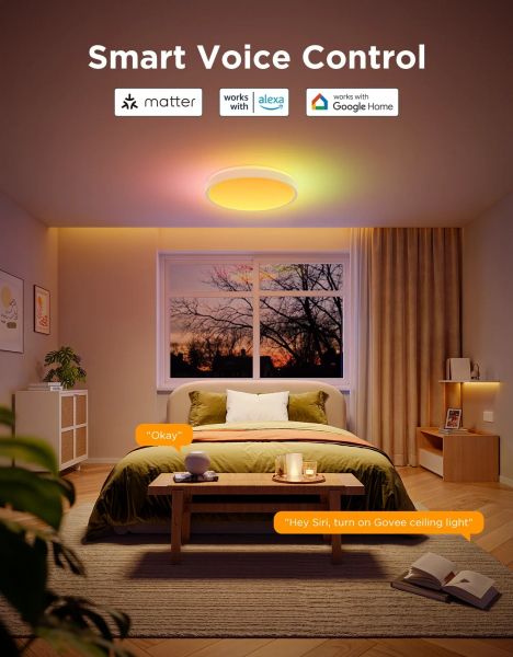 ���������� ���������� Govee 38cm Smart Ceiling Light Pro, RGBICWW, WI-FI/Bluetooth, ���� H60A6C01 - �������� 16