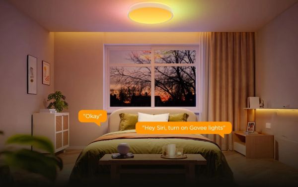 ���������� ���������� Govee 38cm Smart Ceiling Light Pro, RGBICWW, WI-FI/Bluetooth, ���� H60A6C01 - �������� 9