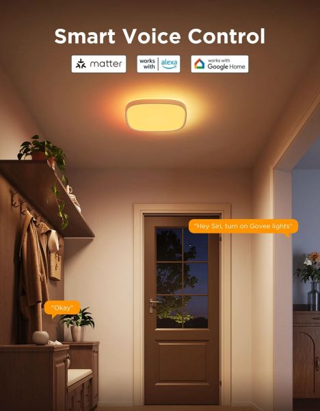 ���������� ���������� Govee H60A4 30cm Smart Square Ceiling Light, RGBWW + RGBIC, WI-FI/Bluetooth, ���� H80A4C01 - �������� 16