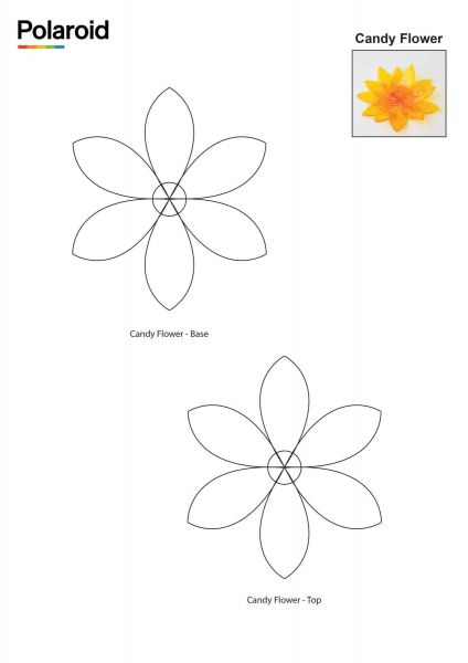    3D   Polaroid Candy pen, ,  (40 ) PL-2505-00 -  7