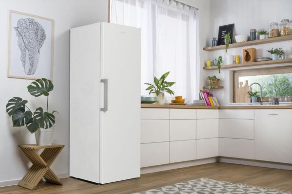 ����������� ������ Gorenje, 186x60�66, 398�, �++, ����������� ���, ���� ��-��, ����� R619EEW5 - �������� 2