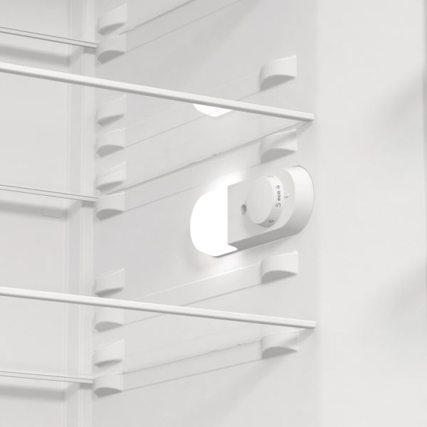 ����������� ������ Gorenje, 186x60�66, 398�, �++, ����������� ���, ���� ��-��, ����� R619EEW5 - �������� 10